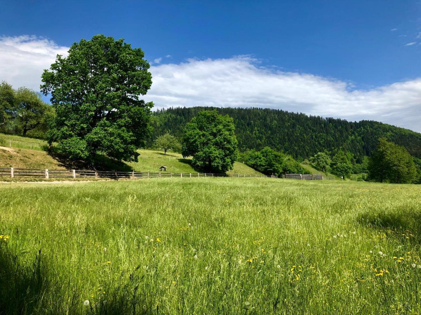 Glamping Savinja Hotel Ljubno Exterior photo
