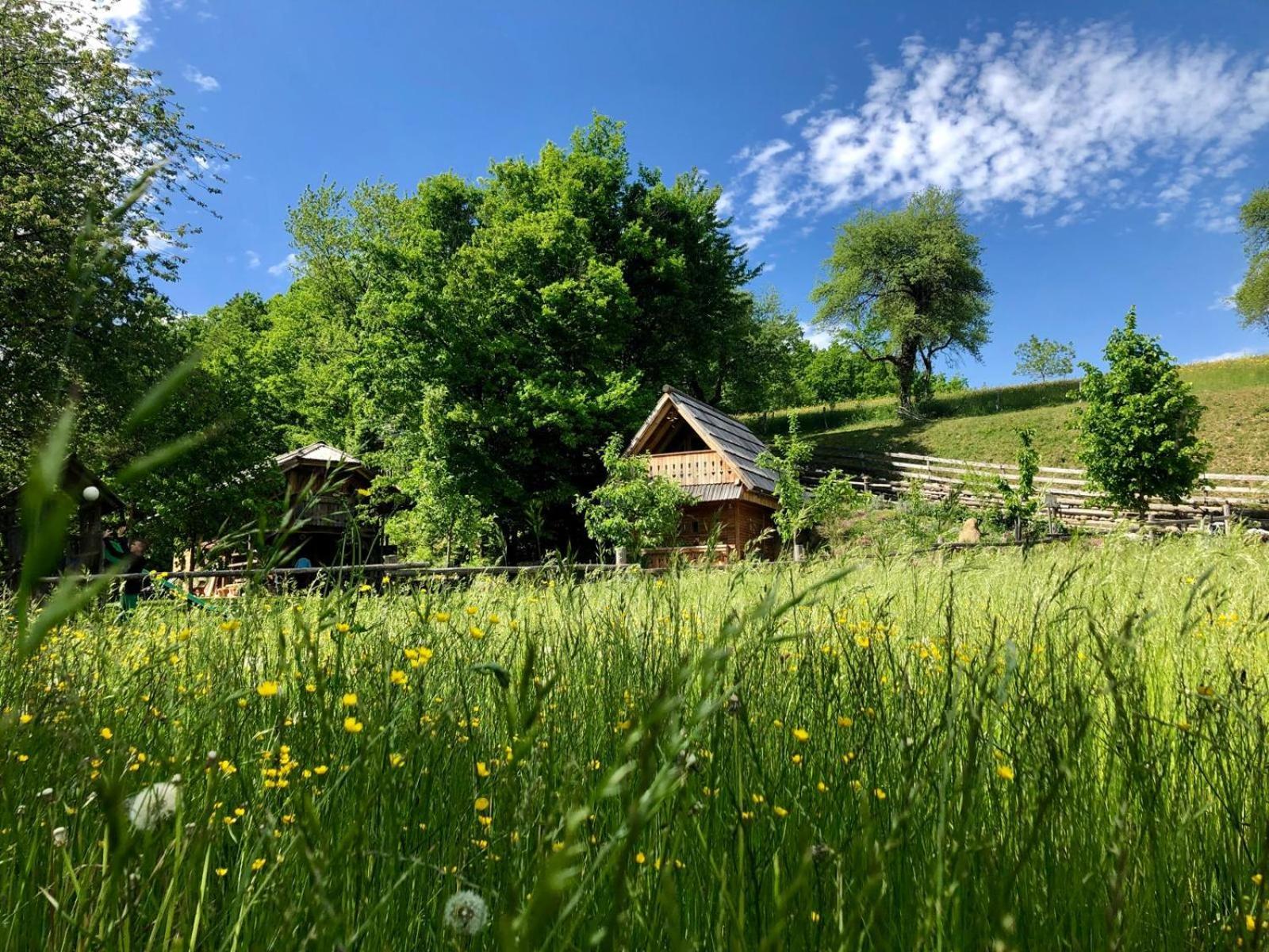 Glamping Savinja Hotel Ljubno Exterior photo