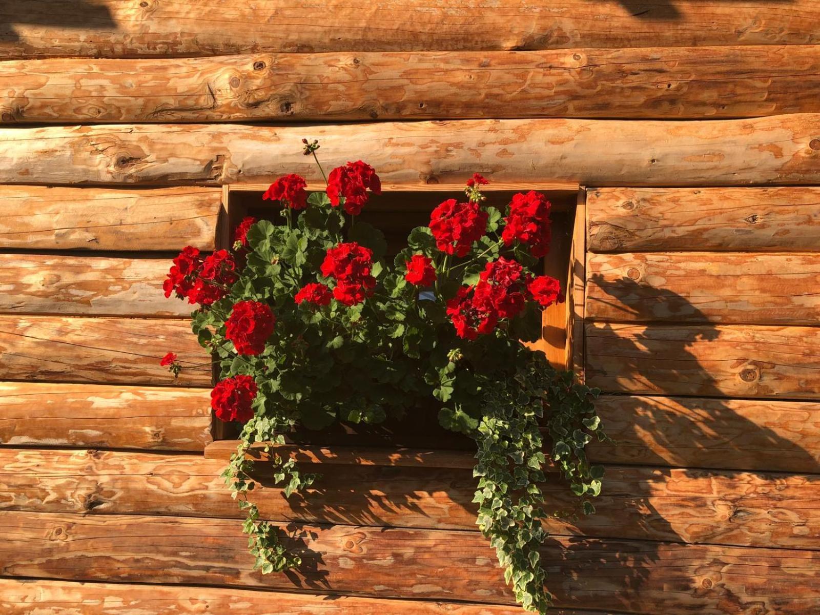 Glamping Savinja Hotel Ljubno Exterior photo