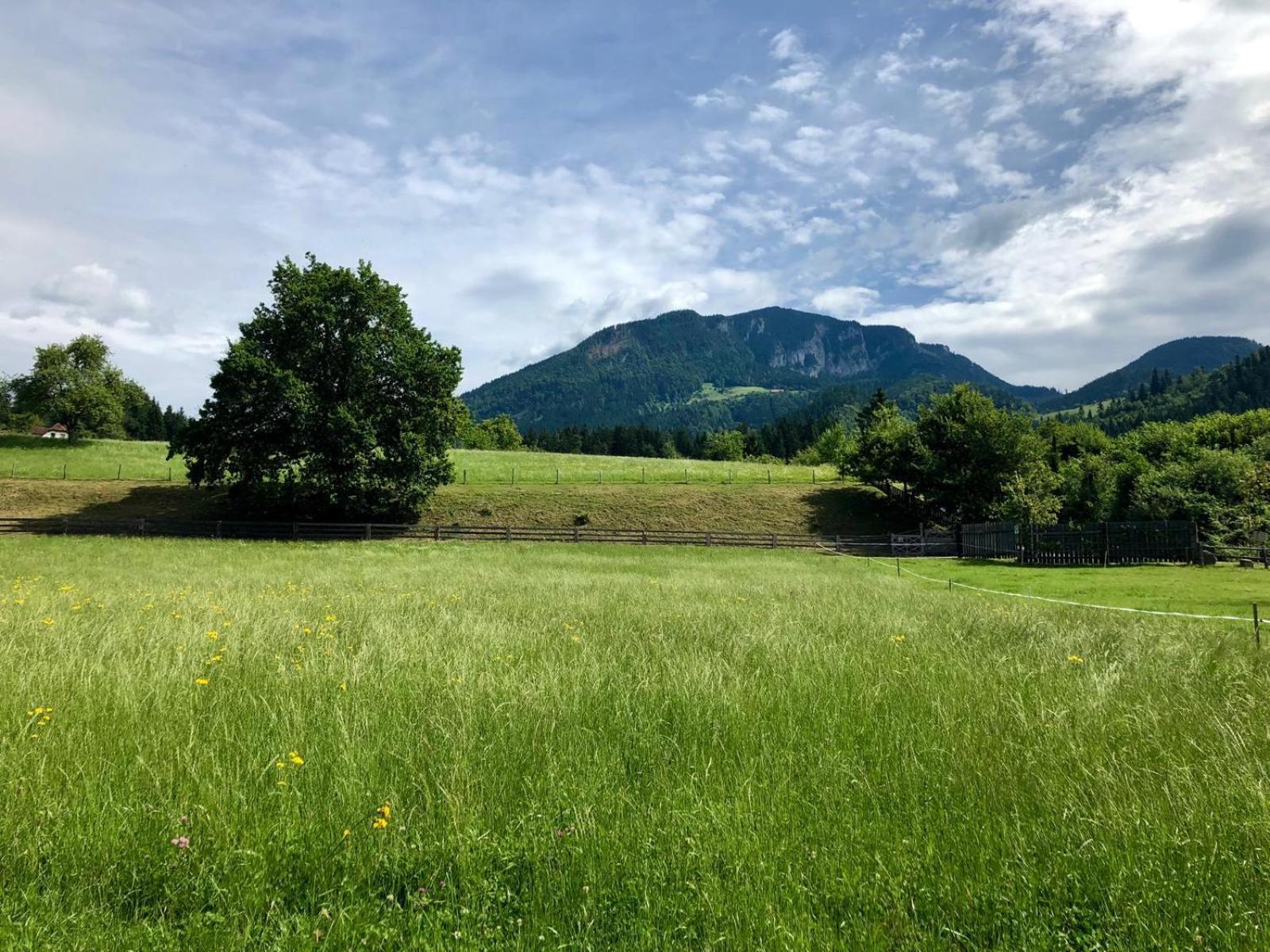 Glamping Savinja Hotel Ljubno Exterior photo
